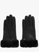 Handschoenen Isotoner Zwart women gloves 85312