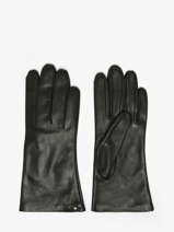 Handschoenen Isotoner Zwart women gloves 68285