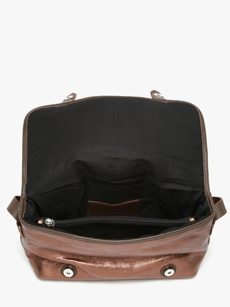 Cross Body Tas Loulou Leder Paul marius Bruin loulou LOULOU ander zicht 3